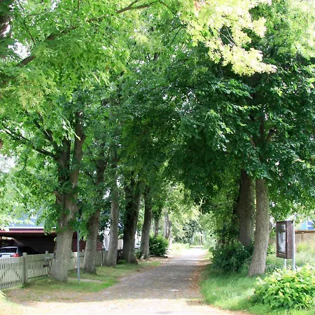 Holiday Boddenrauschen By Interhome